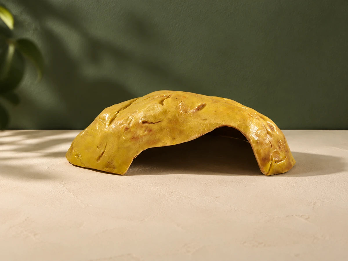 A golden reptile hide on a warm stone-coloured surface
