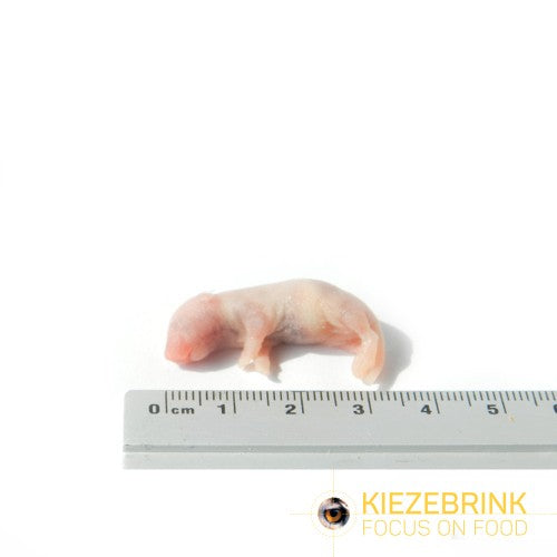 Mice Pinkies Small 25 pack 1-2g