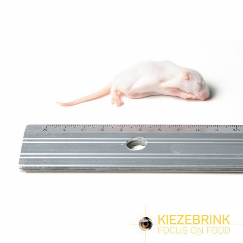 Mice Fuzzies/Fluffs 25 pack 3-5g