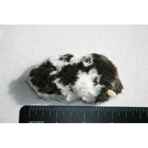 Hamster Large 60g+