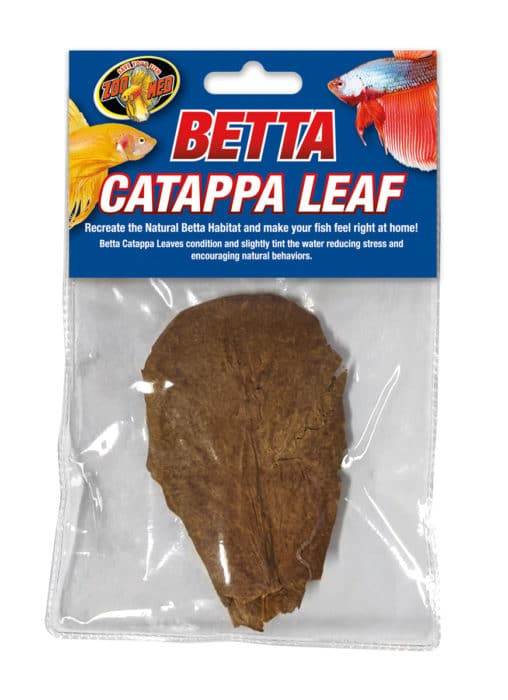Zoo Med Betta Catappa Leaf (BA-11)