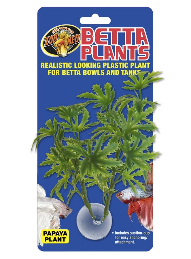Zoo Med Betta Plant, Papaya (BP-21)
