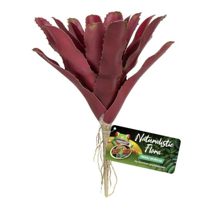 Zoo Med Fireball Bromeliad (BU-60)
