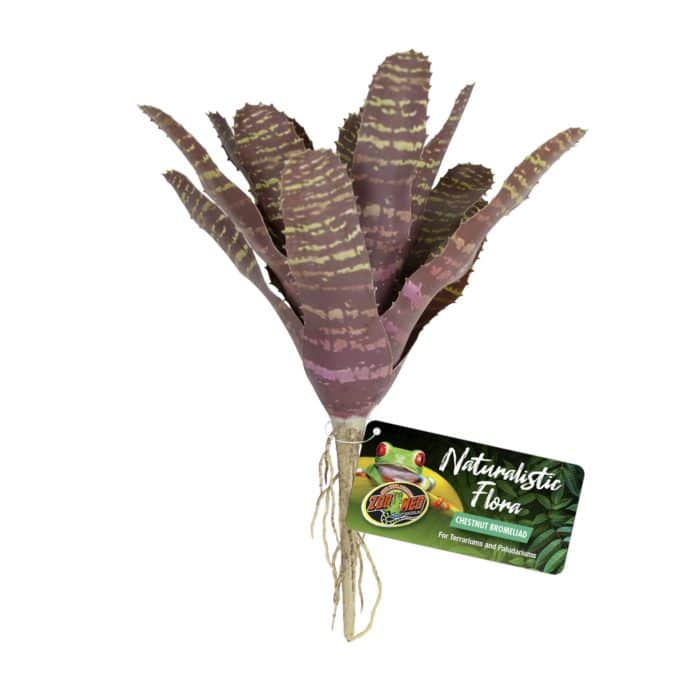 Zoo Med Chestnut Bromeliad (BU-61)