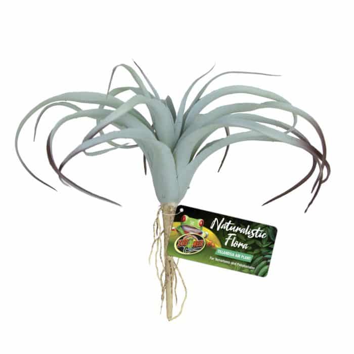 Zoo Med Tillandsia Air Plant (BU-64)