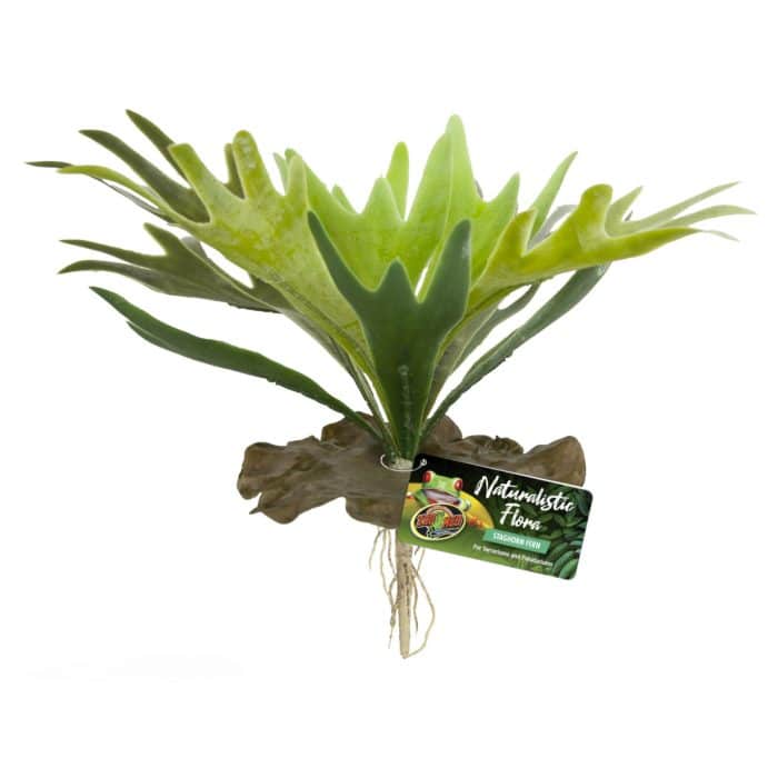 Zoo Med Staghorn Fern (BU-65)