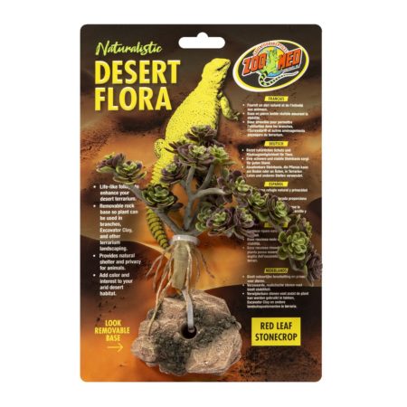 Zoo Med Desert Flora, Red Leaf Stonecrop (BU-74)