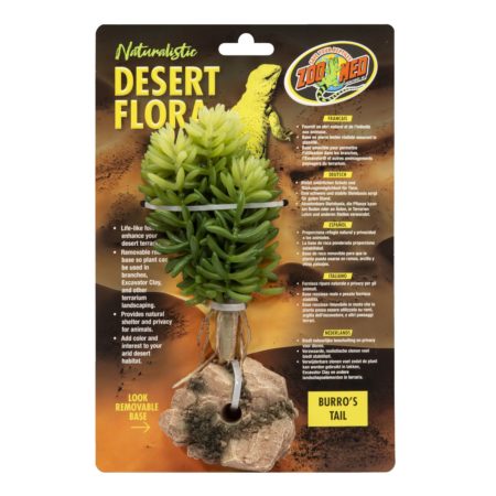 Zoo Med Desert Flora, Burro's Tail (BU-75)