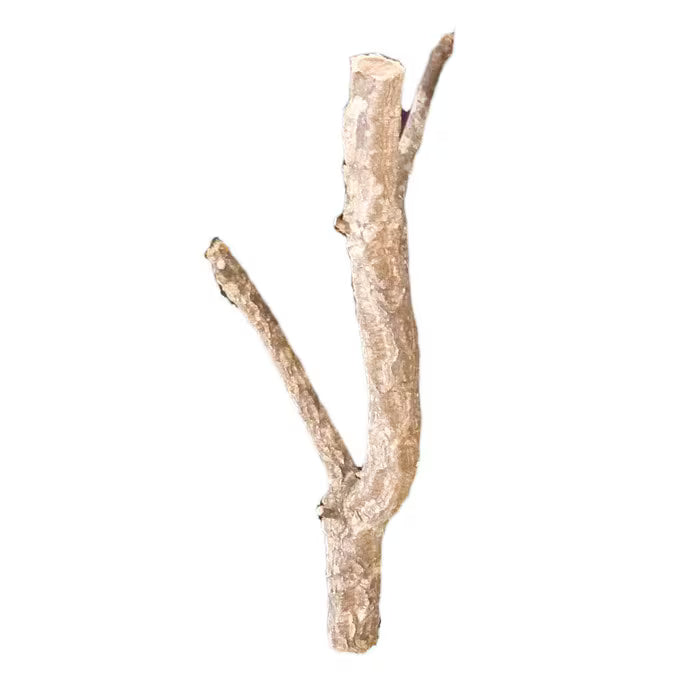 HabiStat Cork Branch, Approx 50cm  ( HDB500)