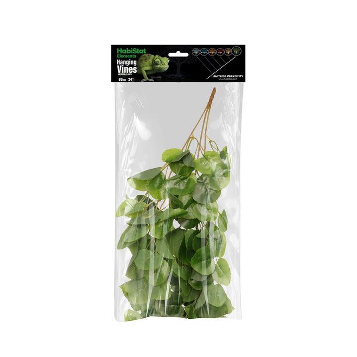 HabiStat Hanging Vine, Begonia 60cm (HHVBG60)