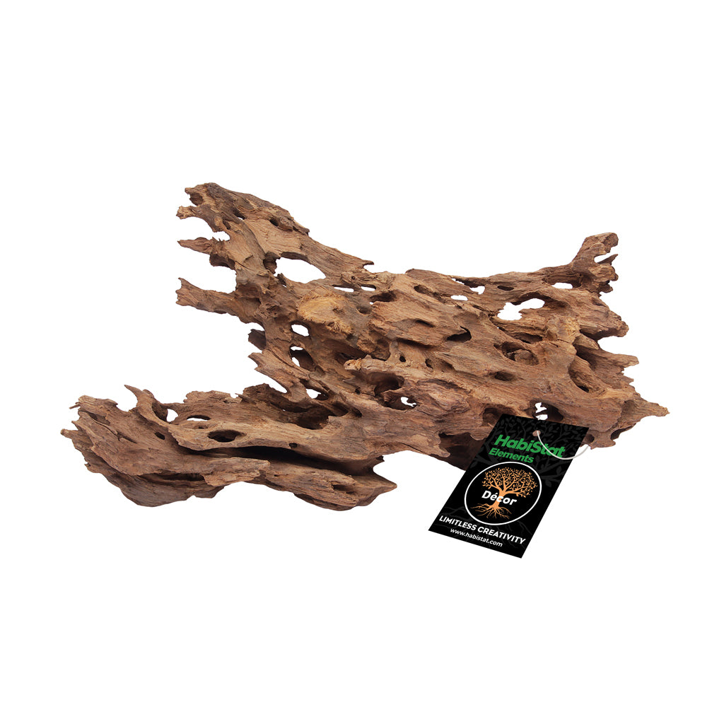 HabiStat Dragon Wood Medium (HNDWM)