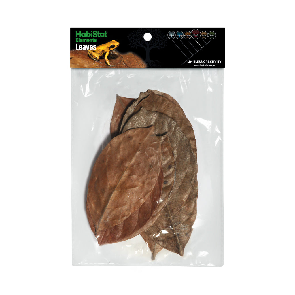 HabiStat Leaves, Jackfruit, 10 pack (HNLLJ)