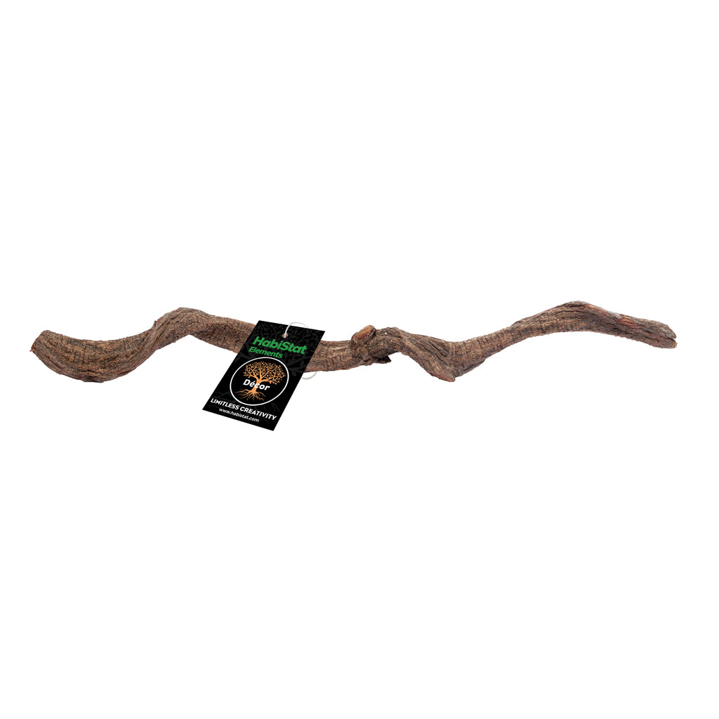 HabiStat Liana Vine Medium (HNLVM)