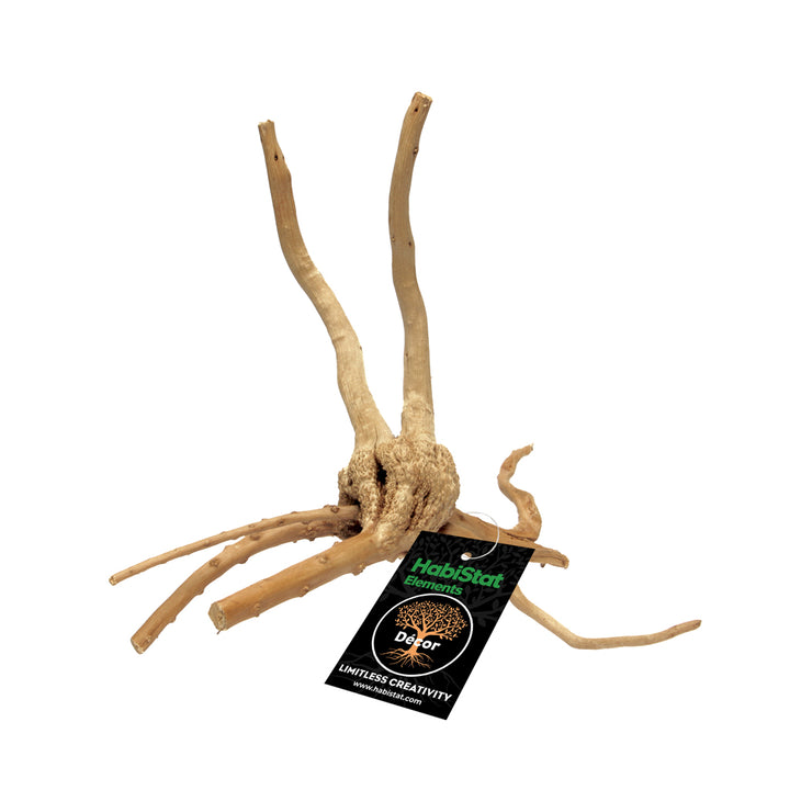 HabiStat Spider Root Extra Small (HNSRES)