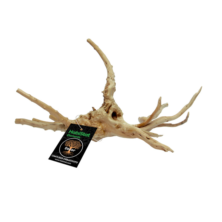 HabiStat Spider Root Small (HNSRS)