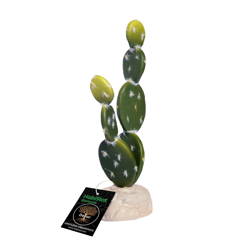 Habistat Cacti, Bunny Ears (HPCBE)