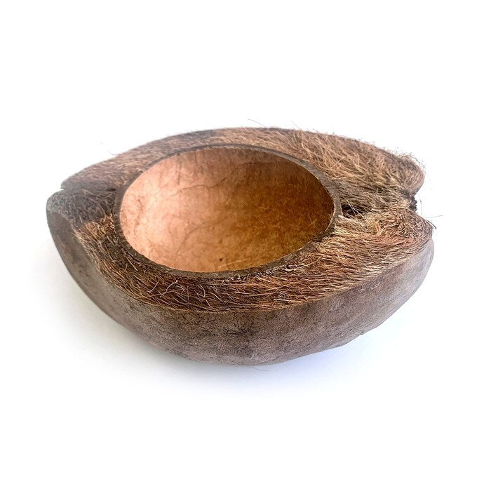 HabiStat Coco Bowl ( HSNCB )