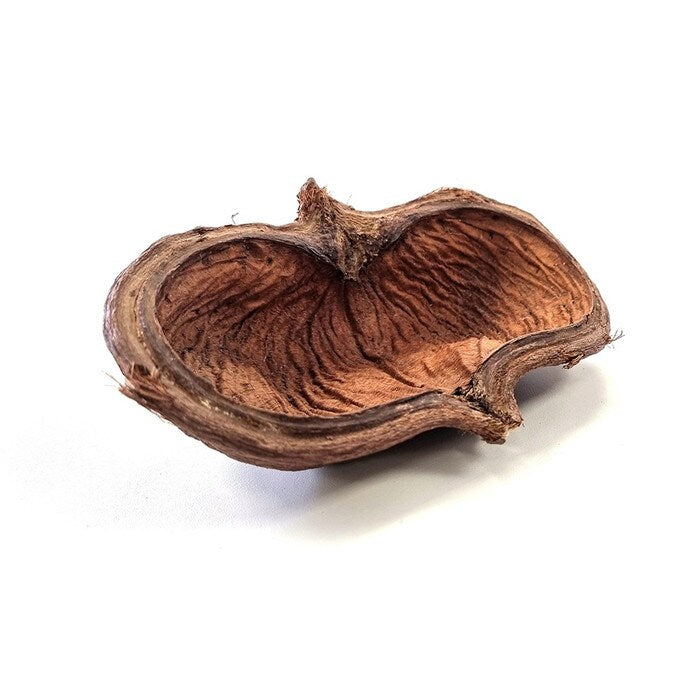 HabiStat Sculta Pod ( HSSP )