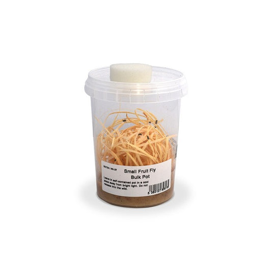 Monkfield Small Fruit Fly, Bulk Pot (LFBS)