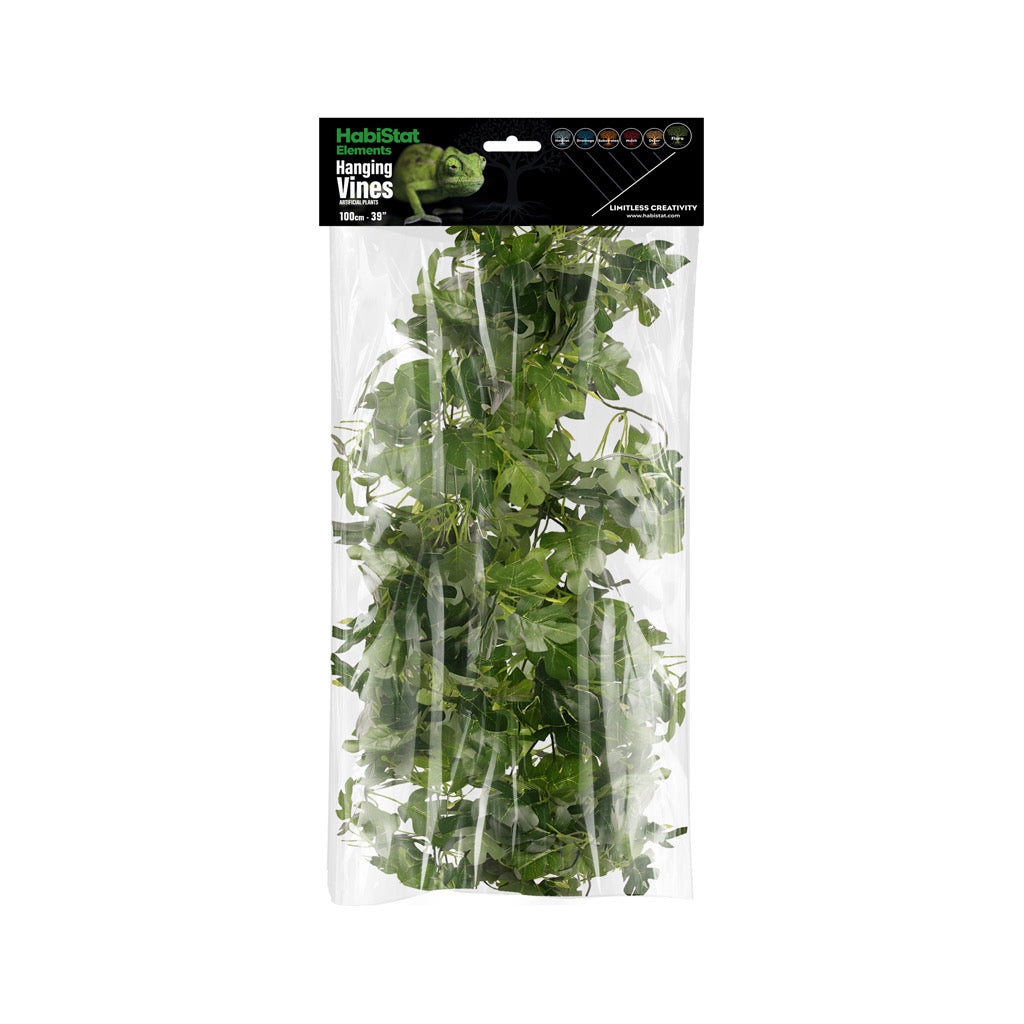 HabiStat Hanging Vine, Hyphosis 100cm (HHVH100)