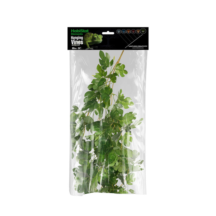 HabiStat Hanging Vine, Hyphosis 60cm (HHVH60)