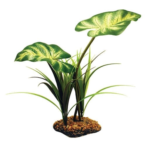 Komodo Broadleaf Canopy, 26cm (10")