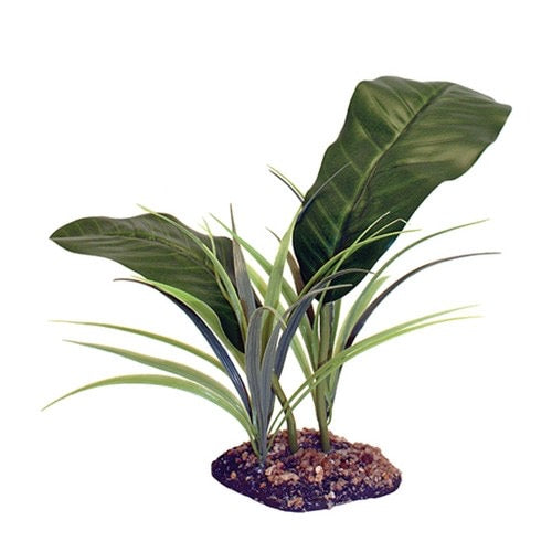 Komodo Evergreen Canopy, 35cm (14")
