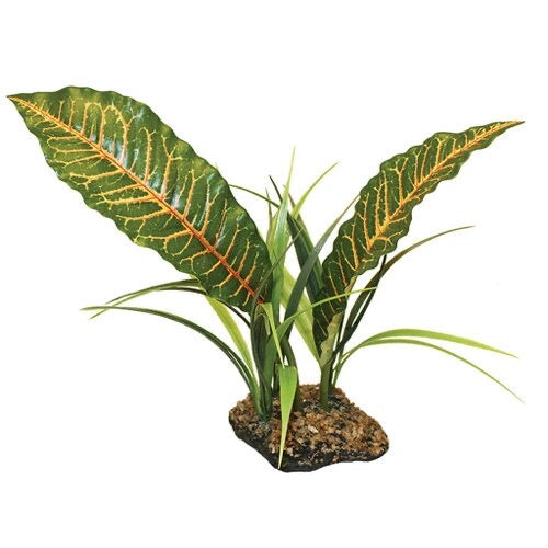 Komodo Tropical Canopy, 31cm (12")