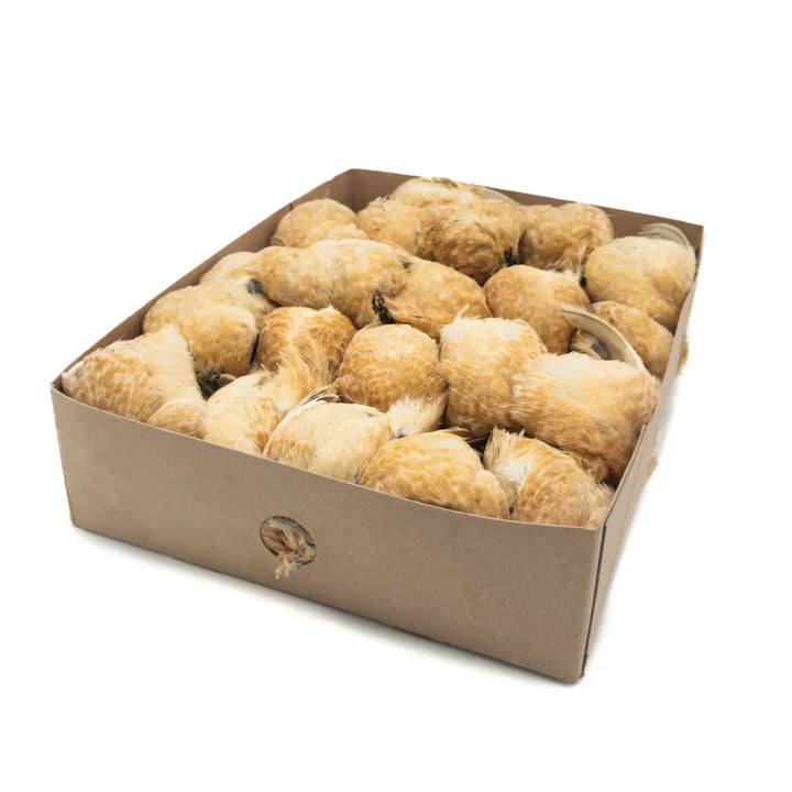 Prime Quail 6kg (220-320g)