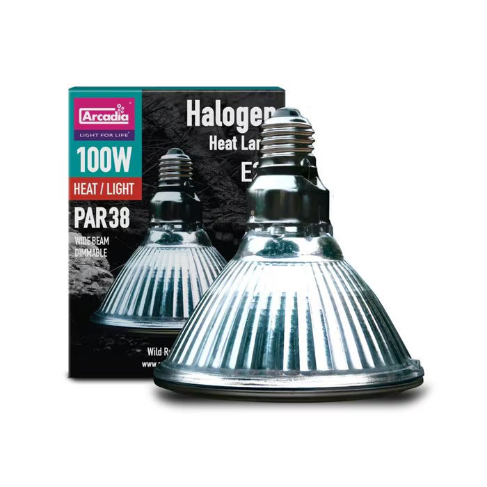 Arcadia Halogen Flood Lamp, 100w (RSHA100E27)