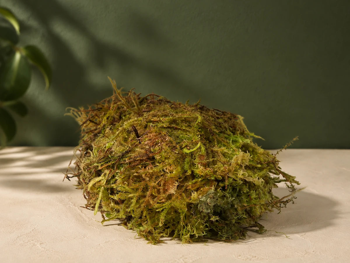 HabiStat sphagnum moss