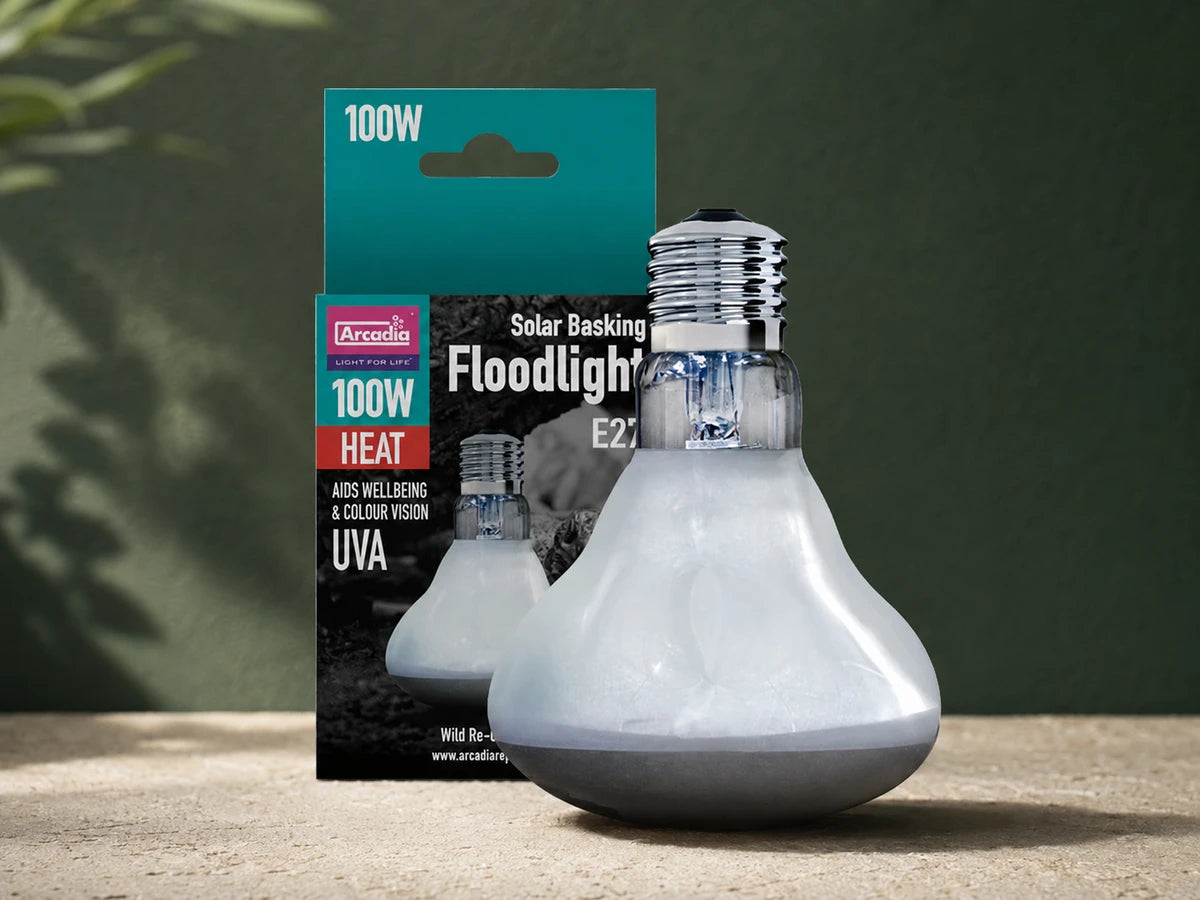 Arcadia 100W Solar Basking Floodlight and original packaging